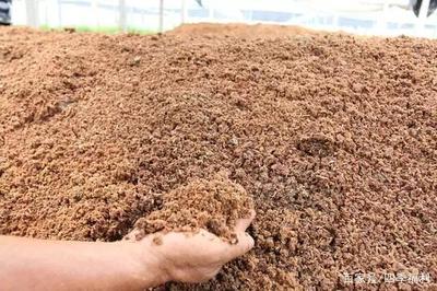 富含多種營養(yǎng)物質(zhì)的有機(jī)肥料——花生麩生物有機(jī)肥料研發(fā)